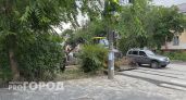 Волгоград вырубает деревья: что происходит с городскими зелеными насаждениями