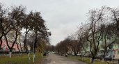 Прогноз погоды в Волгограде на воскресенье, 5 октября 