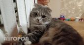Волгоградцам объяснили, почему за октябрь у них будут разные счета за отопление