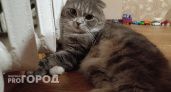 14 муниципалитетов Волгоградской области уже получают тепло