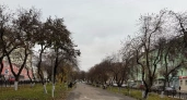 Прогноз погоды в Волгограде на воскресенье, 12 октября