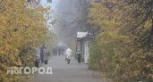 Погода на выходные в Волгоградской области: туман и до +14 градусов