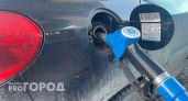 Заправки Волгоградской области снизили цены на два популярных бензина