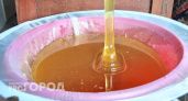 350 кг мёда с волгоградской пасеки забраковали и не пустили в продажу