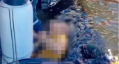 В Среднеахтубинском районе спасатели вытащили из воды тело мужчины
