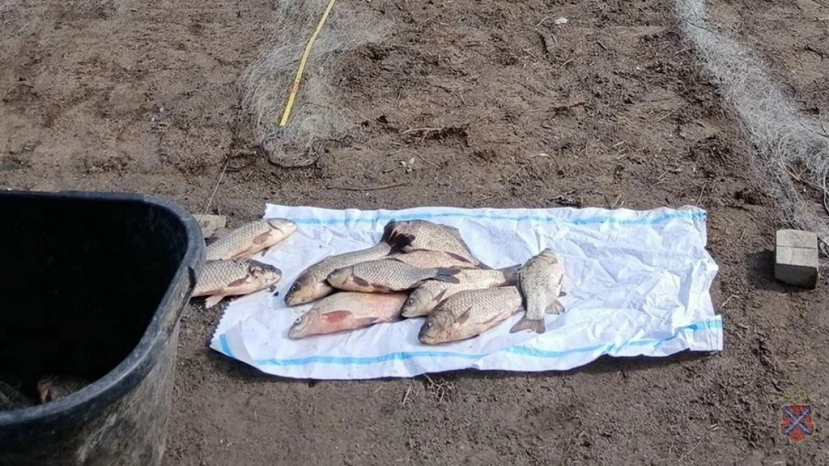 В Калачевском районе задержали браконьеров с двумя сетями и уловом из 40 рыб