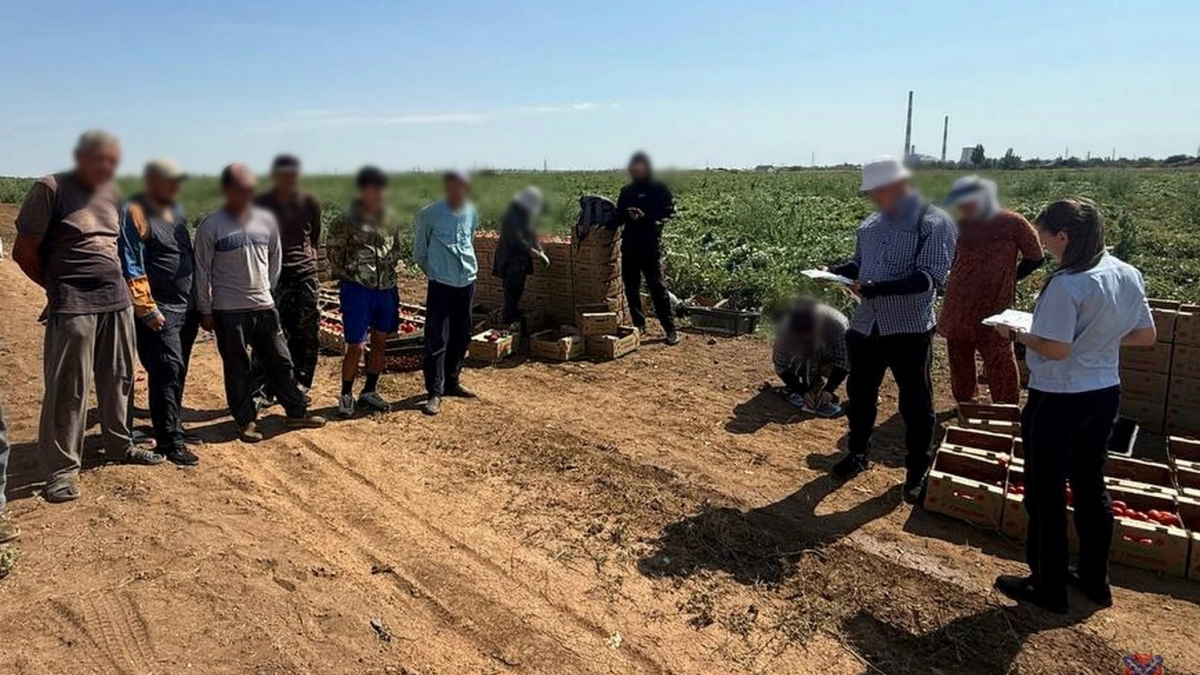 В Волжском полиция проверила документы у 50 мигрантов
