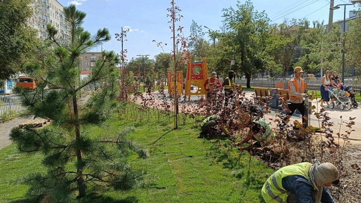 На проспекте Металлургов в Волгограде укладывают рулонный газон
